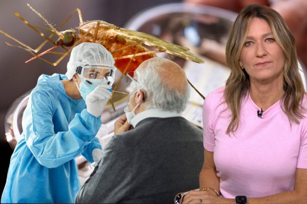 Image 1761829069.jpg