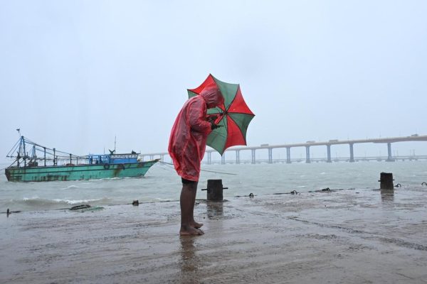 10217 28 11 2025 16 48 44 1 dsc 8342.jpg