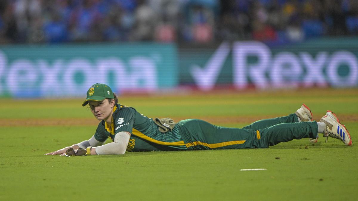 11908 2 11 2025 18 3 54 2 dsc 9429.jpg