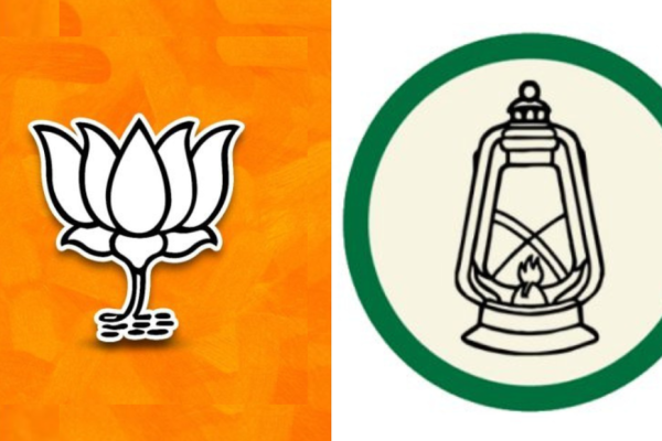 1762246529 photo.jpg