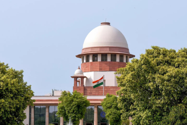 1762314142 photo.jpg