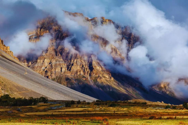 1762440440 photo.jpg