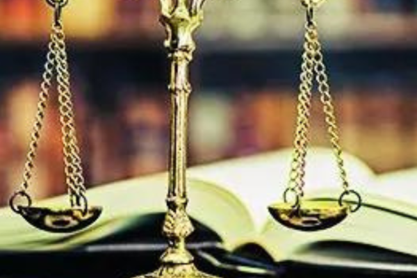 1762473509 photo.jpg