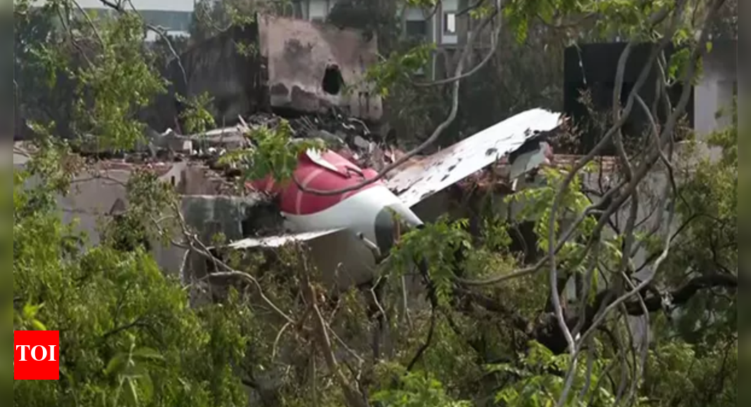 1762497683 photo.jpg