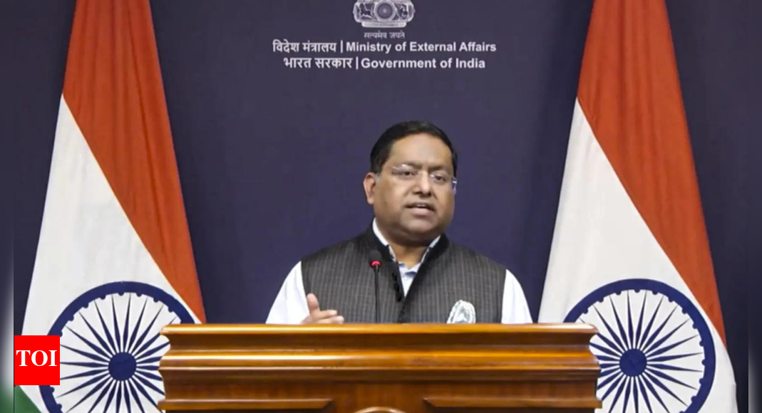 1762517543 photo.jpg