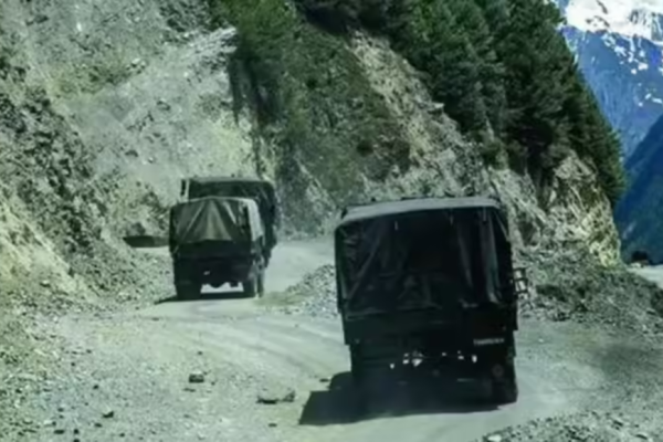 1762545141 photo.jpg