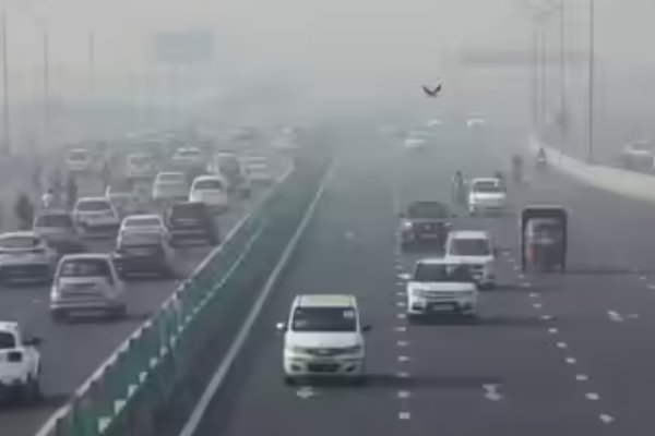 1762556362 photo.jpg