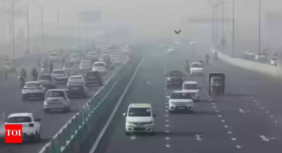 1762556362 photo.jpg