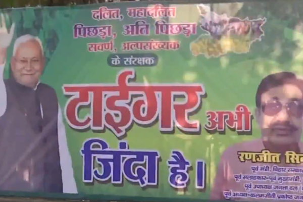 1763012247 photo.jpg