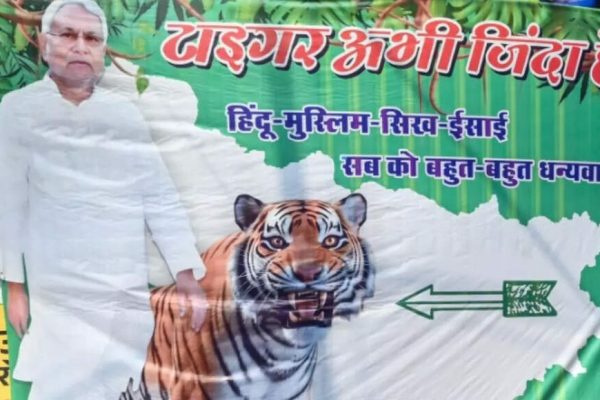 1763121981 photo.jpg