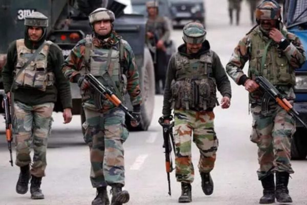 1763301201 photo.jpg