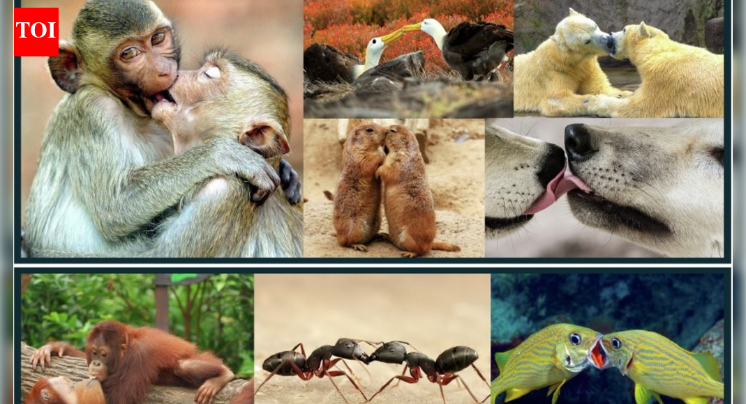 1763688380 photo.jpg