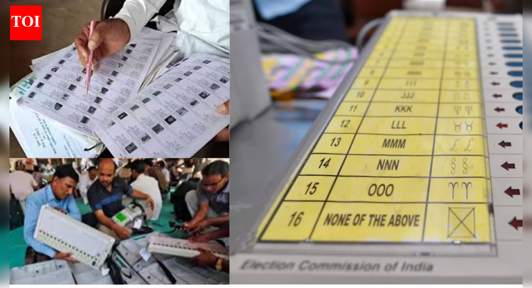 1764287660 photo.jpg