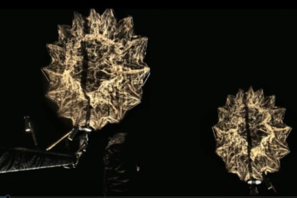 1764335901 photo.jpg