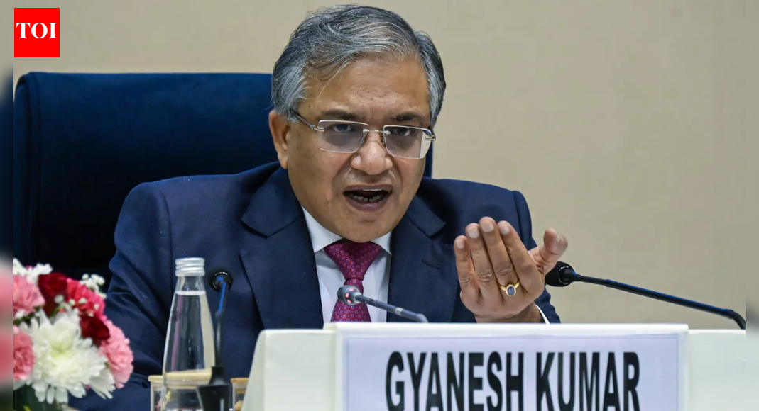 1764395789 photo.jpg