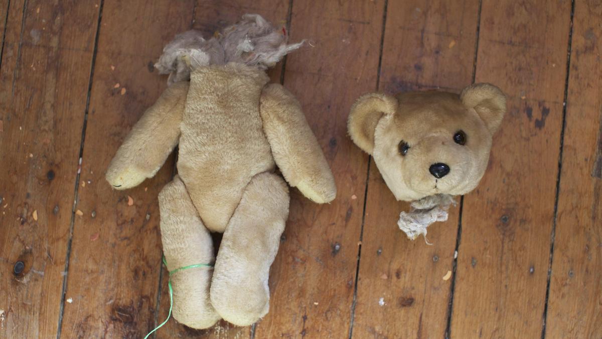 2014 08 25t100106z 1895596989 gm1ea8o1b0301 rtrmadp 3 australia dolls.jpg