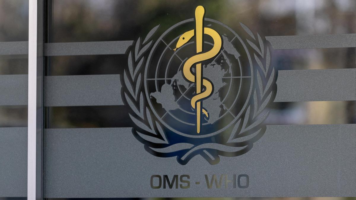 2025 11 27t153551z 1570529240 rc20jca25h2p rtrmadp 3 health infertiltiy who.jpg