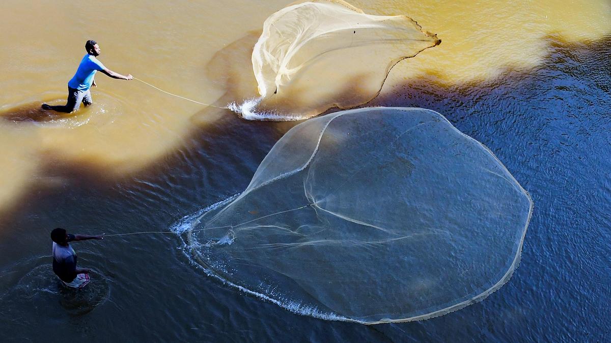 2150 12 9 2021 15 9 52 1 fishing 12092021 03.jpg