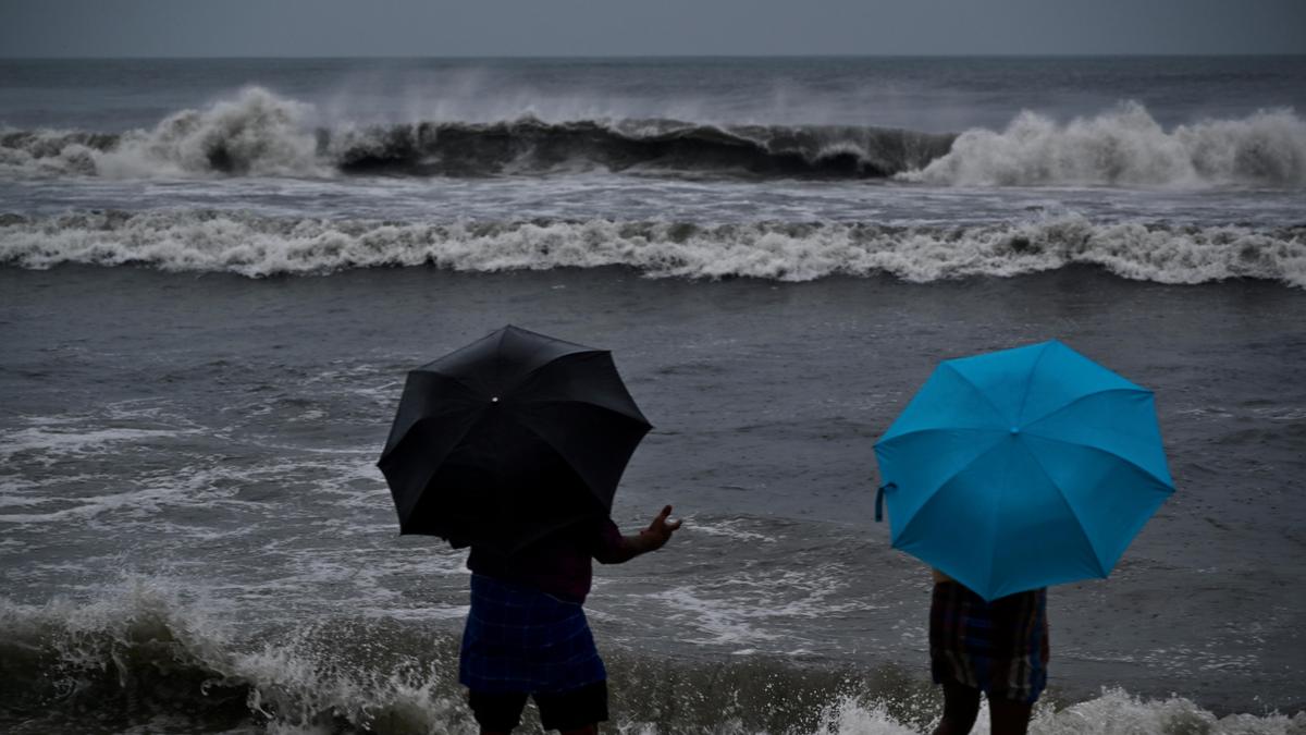 2501 28 10 2025 9 28 52 2 dsc 0800.jpeg