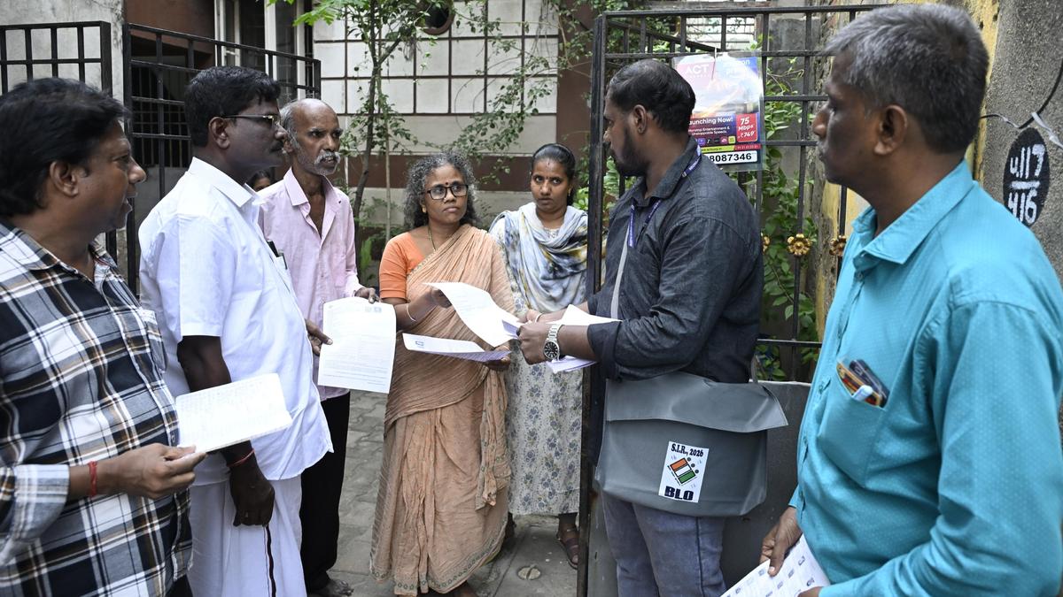 4871 4 11 2025 16 53 28 1 dsc7456.jpg