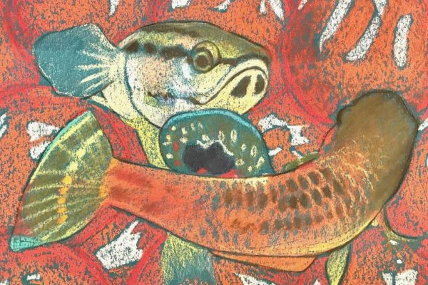 Pastedgraphic 1201.jpg