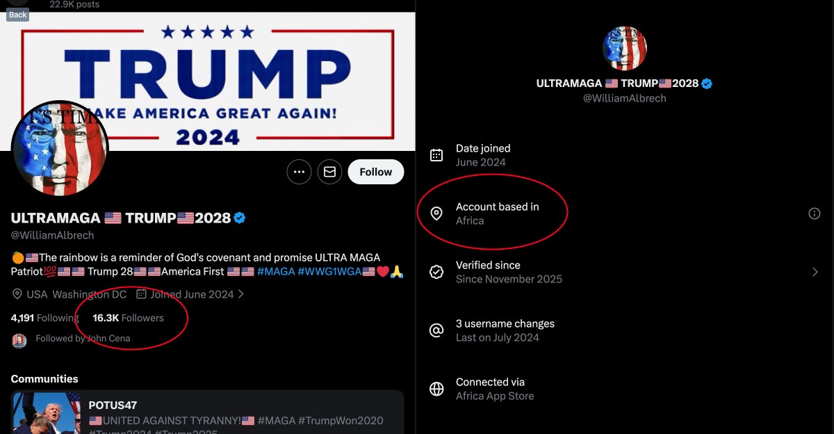 Trump foreign troll 2.jpg