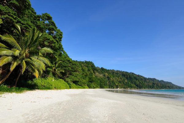 Istock 1177155588.jpg