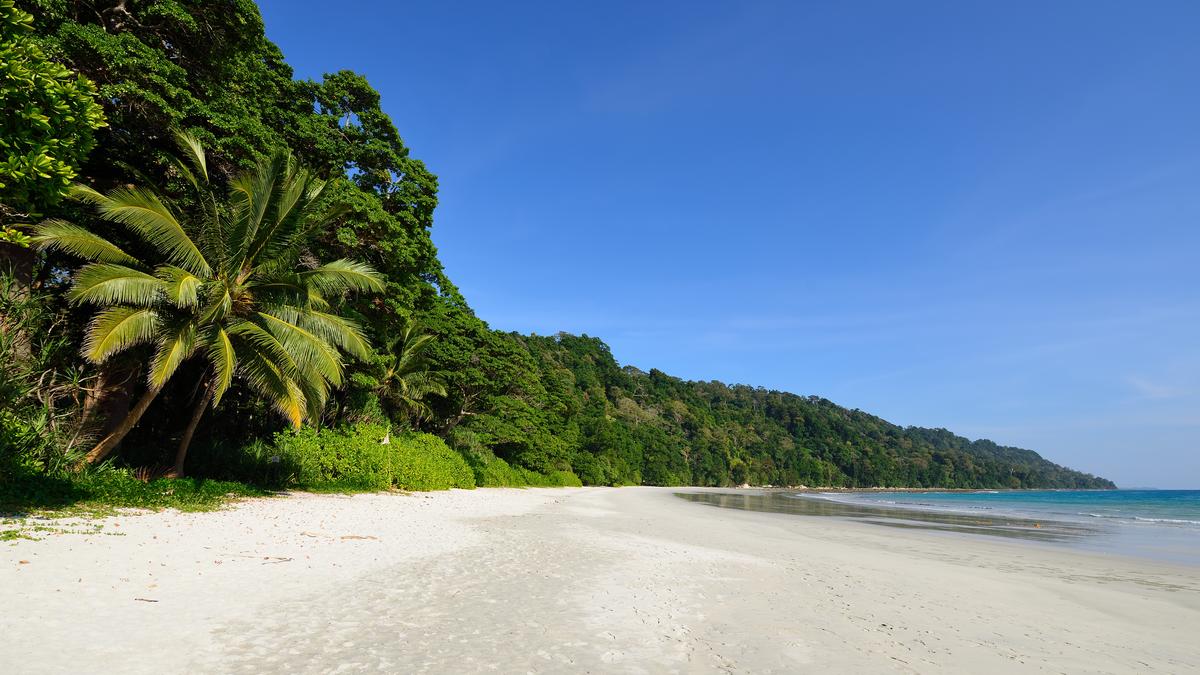 Istock 1177155588.jpg