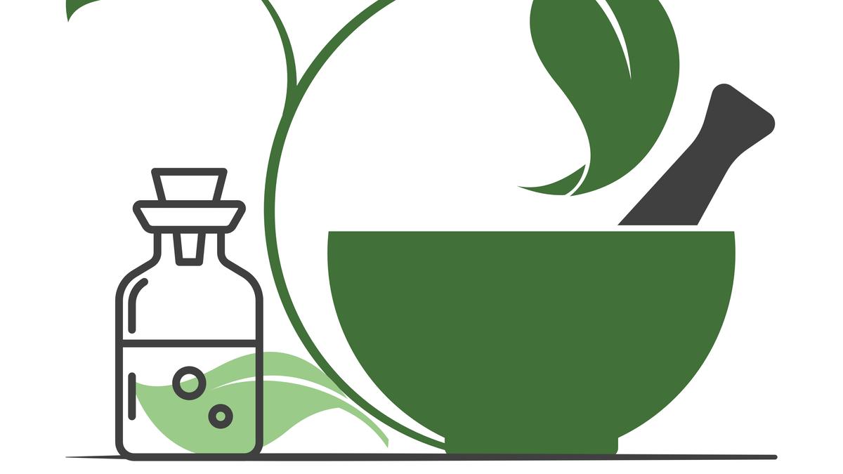 Istock 1351291126.jpg