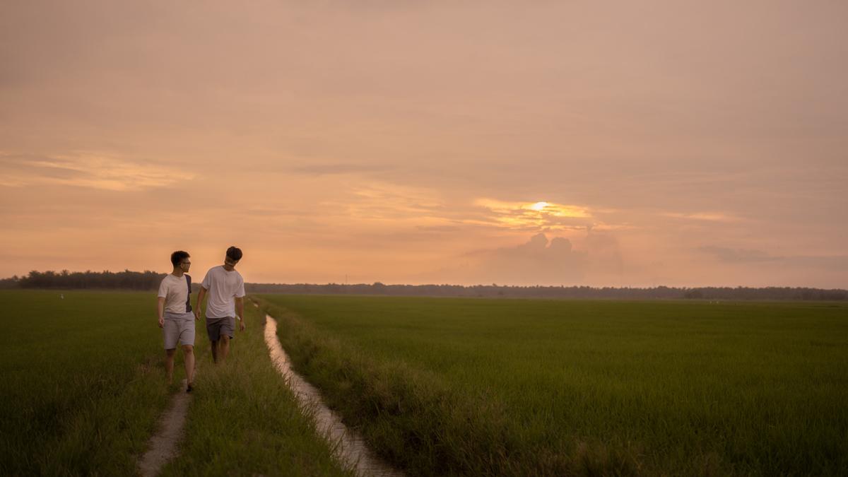 Istock 1387493491.jpg