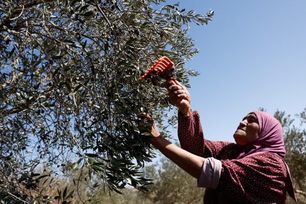 Reuters 690626ab 1762010795.jpg