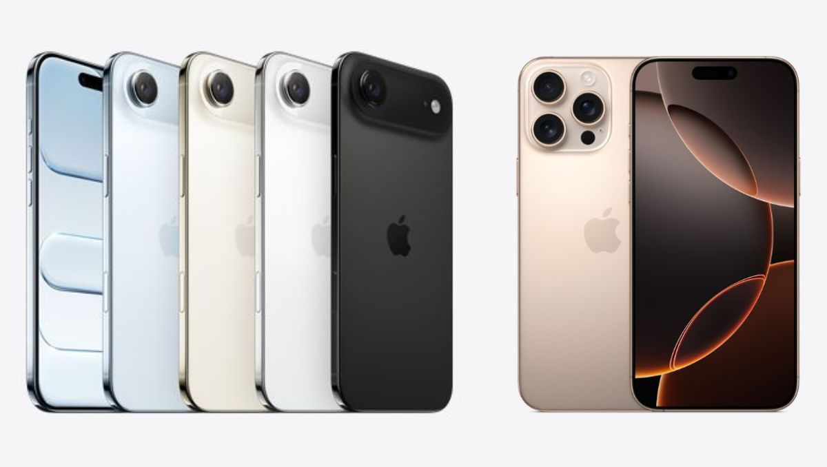 Z3wq 2025 11 06t135022735 wa11.jpg